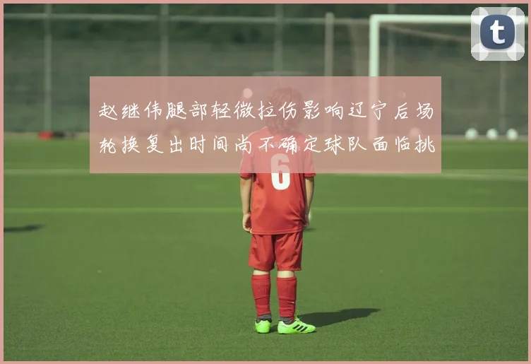 赵继伟腿部轻微拉伤影响辽宁后场轮换复出时间尚不确定球队面临挑战