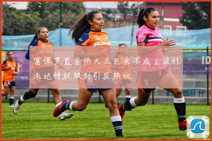 富保罗直言热火三巨头不成立波什未达特权级别引发热议